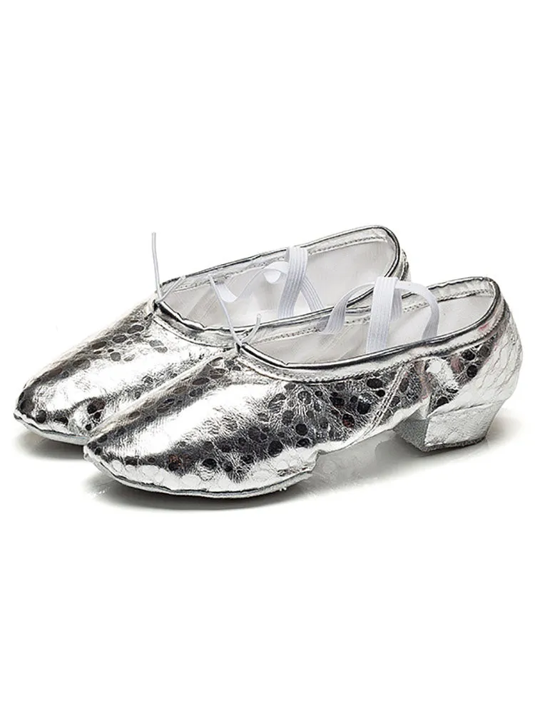 Mid Heel Dance Shoes Soft Sole Training Ballet Shoes